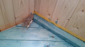 20201107_163510.jpg