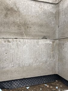 IMG_4194.jpeg