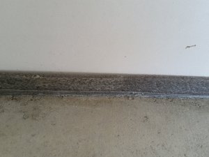 20201108_110422.jpg