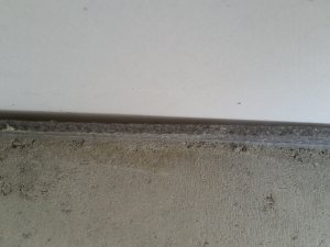 20201108_110426.jpg