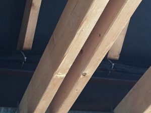 IMG_0506.JPG