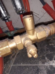 20201110_142114.jpg
