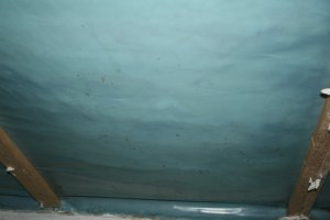 IMG_1236.JPG