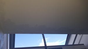 20201028_125629.jpg