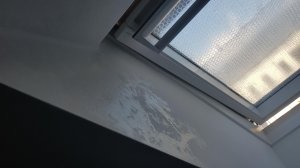 20201028_124742.jpg