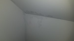 20201028_131100.jpg