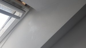 20201028_124738.jpg