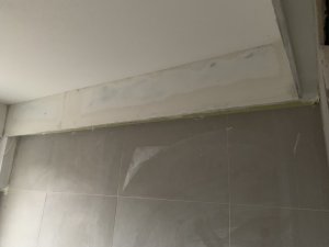 IMG_3937.jpeg