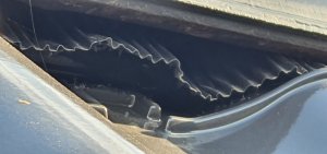 20200901_180154.jpg