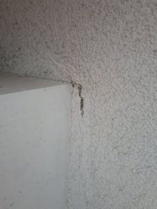 20201002_184845.jpg