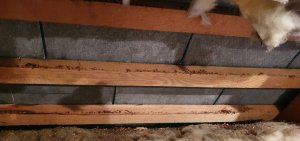 20201118_092857.jpg