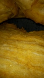 20201121_080259.jpg