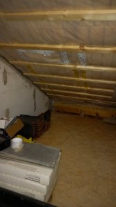 20201121_100655.jpg