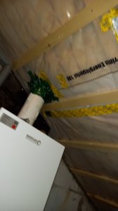 20201121_100700.jpg
