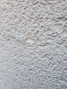 20201109_154334.jpg