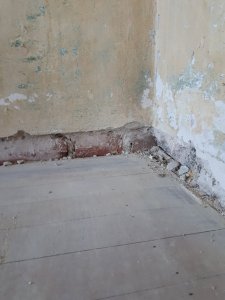 20200913_163705.jpg