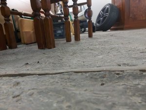 20201113_160936.jpg