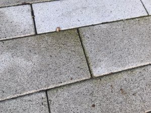 0FBAFD95-AD0E-4A45-B244-75DE2BE0AF63.jpeg