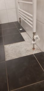 20201202_164747.jpg