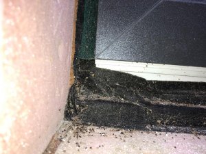 WhatsApp Image 2020-12-03 at 11.16.47 (2).jpeg