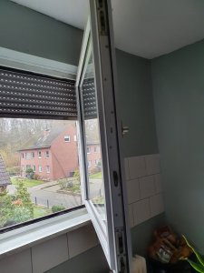 20201128_133835.jpg
