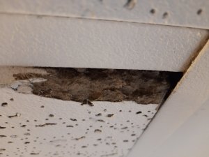20201206_103817.jpg
