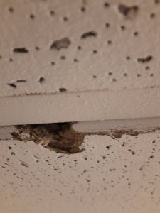 20201206_103915.jpg
