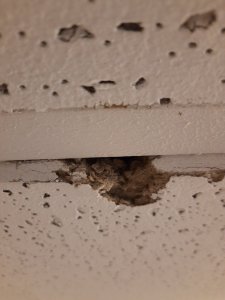 20201206_103926.jpg