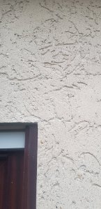 20201207_124406.jpg