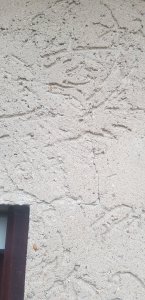 20201207_124426.jpg