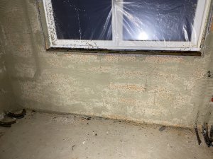 IMG_6176.jpg