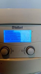 wp1.jpg
