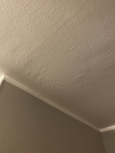 A64F6DD6-6B37-487B-8F63-E3E79C7AD6B1.jpeg