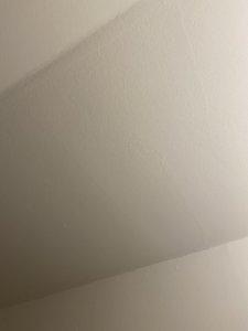 EF147329-03FE-4557-A565-115E1A9CF196.jpeg