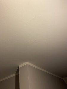 8079F331-C3D5-4DF1-BE20-7CE1C7B16934.jpeg