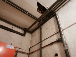 IMG_20201218_091641.jpg