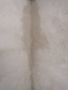 IMG_20201220_113459.jpg