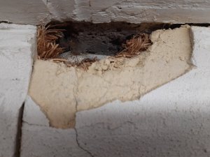 20201223_124807.jpg
