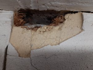 20201223_124804.jpg