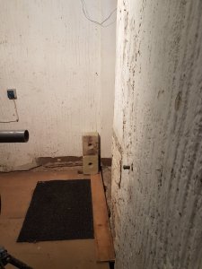 20201228_164024.jpg