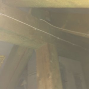 IMG_1174.JPG