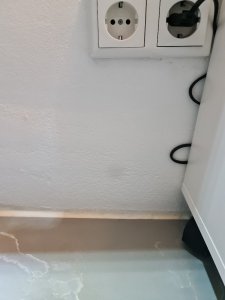 20201230_110919.jpg