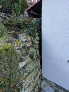 IMG_20201230_121406.jpg