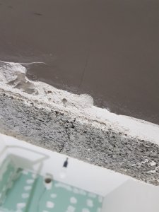 20201231_142948.jpg