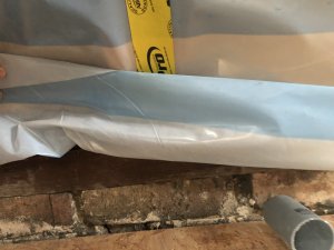 IMG_4111.jpeg