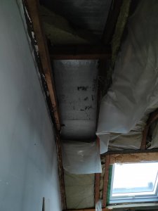 IMG_20201228_095441.jpg