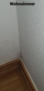 20210107_234457.jpg