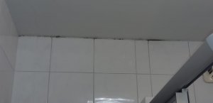 IMG-20210107-WA0008.jpg