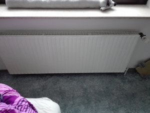 IMG_20210112_123140.jpg