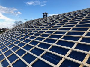 IMG_4112.jpeg